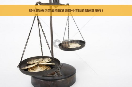 如何在3天内完成拍拍贷逾期代偿后的期还款操作？