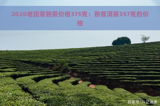 2020老班章熟茶价格375克：熟普洱茶357克的价格