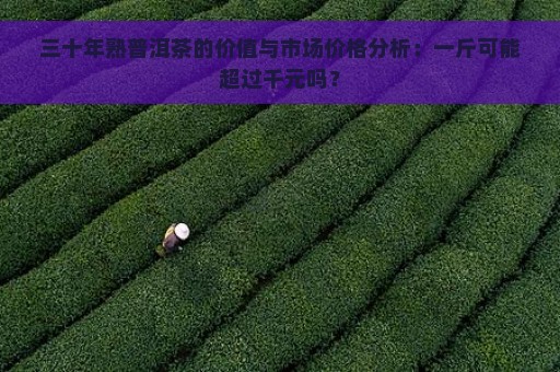 三十年熟普洱茶的价值与市场价格分析：一斤可能超过千元吗？