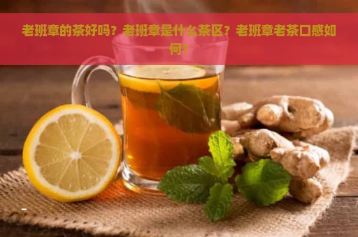 老班章的茶好吗？老班章是什么茶区？老班章老茶口感如何？