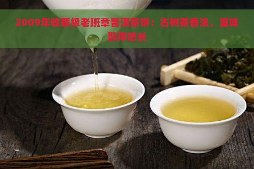 2009年收藏级老班章普洱茶饼：古树茶香浓，滋味醇厚悠长