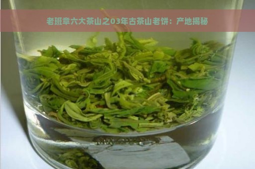 老班章六大茶山之03年古茶山老饼：产地揭秘