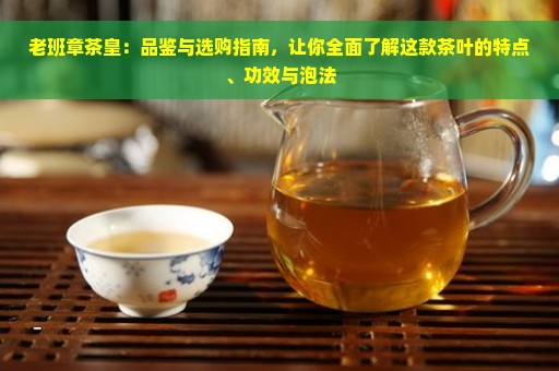 老班章茶皇：品鉴与选购指南，让你全面了解这款茶叶的特点、功效与泡法