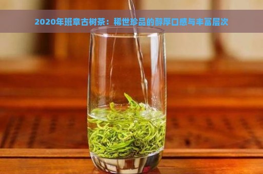 2020年班章古树茶：稀世珍品的醇厚口感与丰富层次