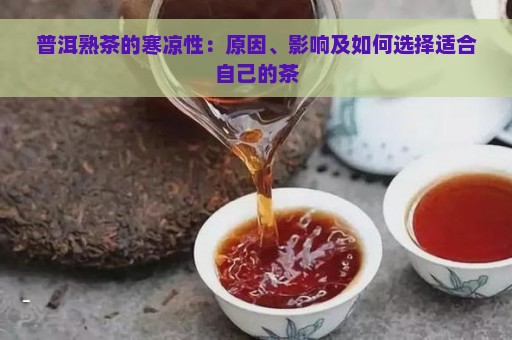 普洱熟茶的寒凉性：原因、影响及如何选择适合自己的茶