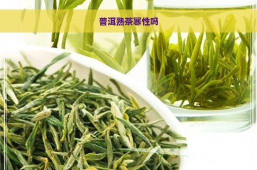 普洱熟茶寒性吗