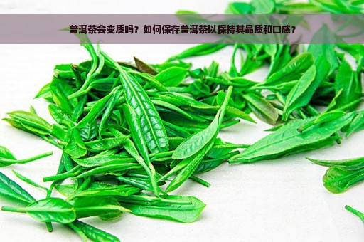 普洱茶会变质吗？如何保存普洱茶以保持其品质和口感？