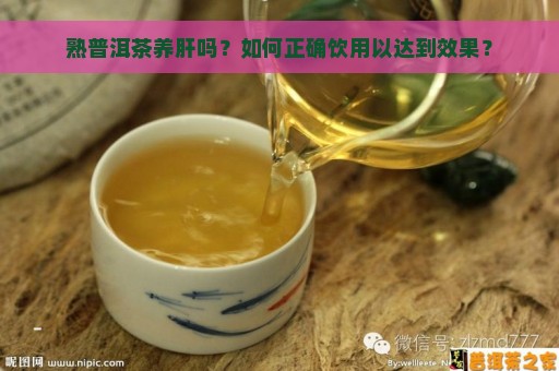 熟普洱茶养肝吗？如何正确饮用以达到效果？