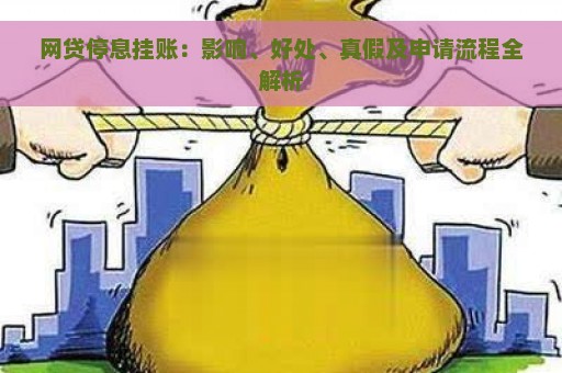 网贷停息挂账：影响、好处、真假及申请流程全解析