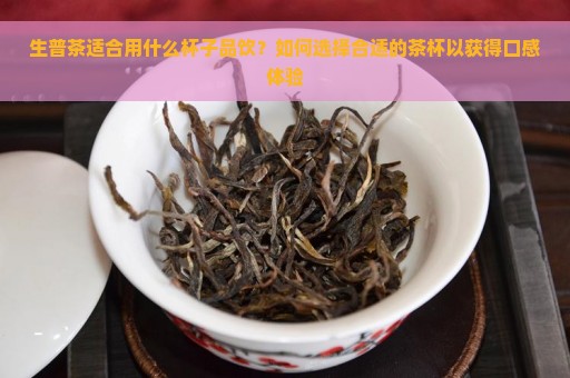 生普茶适合用什么杯子品饮？如何选择合适的茶杯以获得口感体验