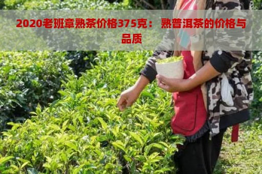 2020老班章熟茶价格375克： 熟普洱茶的价格与品质