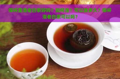 保杯里泡老白茶好吗？如何泡？可以放多久？保杯泡老白茶可以吗？