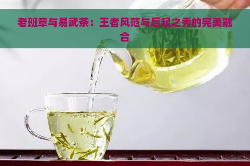 老班章与易武茶：王者风范与后起之秀的完美融合