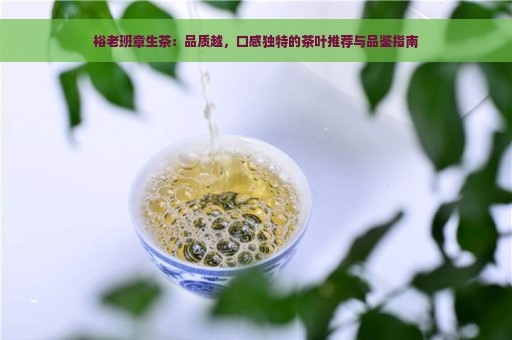 裕老班章生茶：品质越，口感独特的茶叶推荐与品鉴指南