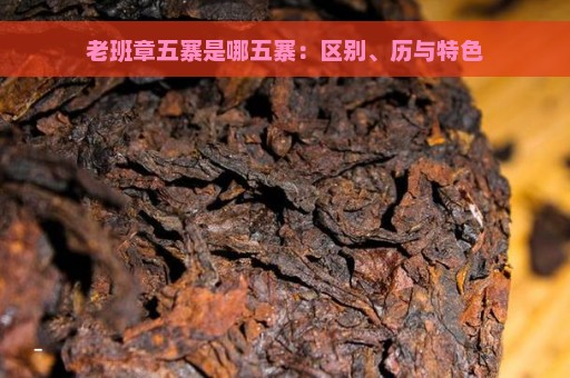 老班章五寨是哪五寨：区别、历与特色