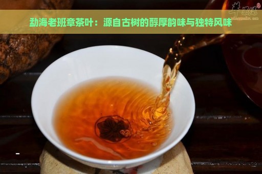 勐海老班章茶叶：源自古树的醇厚韵味与独特风味