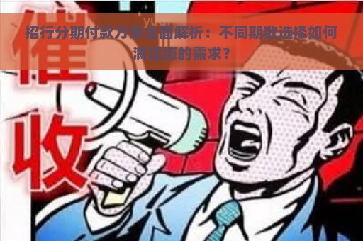 招行分期付款方案全面解析：不同期数选择如何满足您的需求？