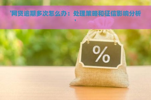 '网贷逾期多次怎么办：处理策略和征信影响分析'