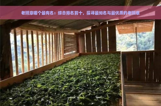 老班章哪个最有名：综合排名前十，探寻最知名与最优质的老班章