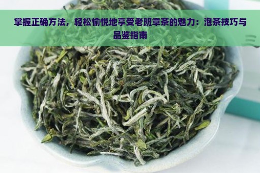 掌握正确方法，轻松愉悦地享受老班章茶的魅力：泡茶技巧与品鉴指南