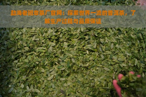 勐海老班章茶厂官网：探索世界一流的普洱茶，了解生产过程与品质保证