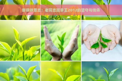 新钢铁意志：老同志班章王2012的坚守与传承