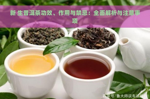 新 生普洱茶功效、作用与禁忌：全面解析与注意事项