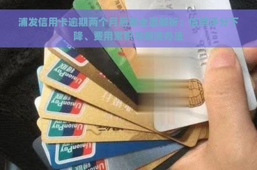 浦发信用卡逾期两个月后果全面解析：信用评分下降、费用累积与解决办法