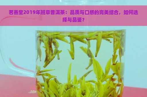 茗善堂2019年班章普洱茶：品质与口感的完美结合，如何选择与品鉴？