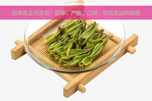 班章茶王与茶后：品种、产地、口感、功效及选购指南