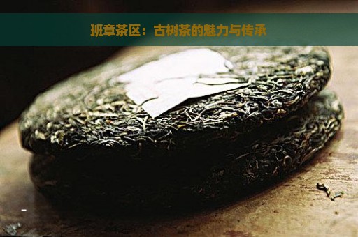 班章茶区：古树茶的魅力与传承