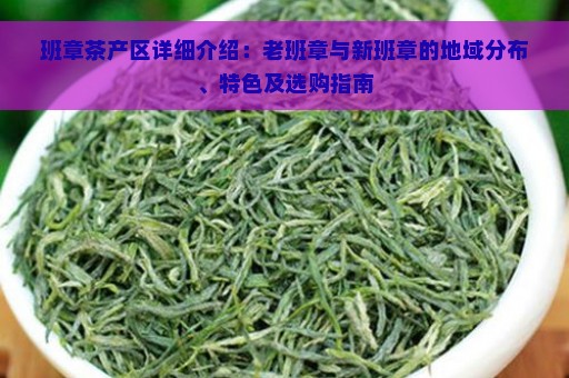 班章茶产区详细介绍：老班章与新班章的地域分布、特色及选购指南