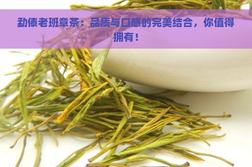 勐傣老班章茶：品质与口感的完美结合，你值得拥有！