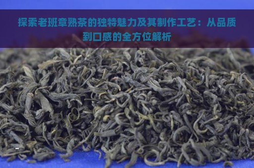 探索老班章熟茶的独特魅力及其制作工艺：从品质到口感的全方位解析