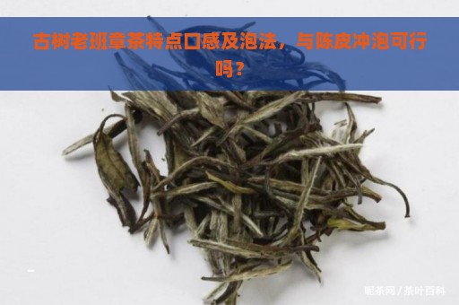 古树老班章茶特点口感及泡法，与陈皮冲泡可行吗？