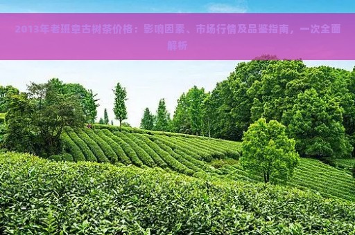 2013年老班章古树茶价格：影响因素、市场行情及品鉴指南，一次全面解析