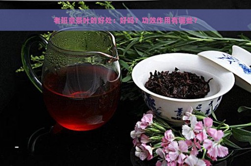 老班章茶叶的好处：好吗？功效作用有哪些？