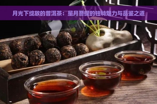 月光下绽放的普洱茶：星月菩提的独特魅力与品鉴之道