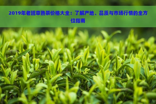 2019年老班章熟茶价格大全：了解产地、品质与市场行情的全方位指南