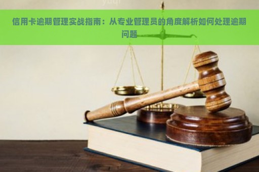 信用卡逾期管理实战指南：从专业管理员的角度解析如何处理逾期问题