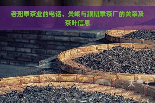 老班章茶业的电话、曼峨与跟班章茶厂的关系及茶叶信息