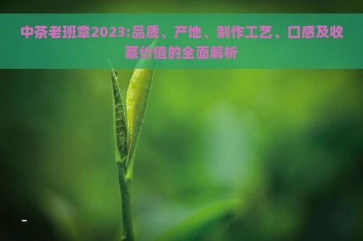 中茶老班章2023:品质、产地、制作工艺、口感及收藏价值的全面解析