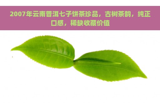 2007年云南普洱七子饼茶珍品，古树茶韵，纯正口感，稀缺收藏价值