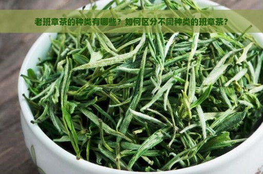 老班章茶的种类有哪些？如何区分不同种类的班章茶？