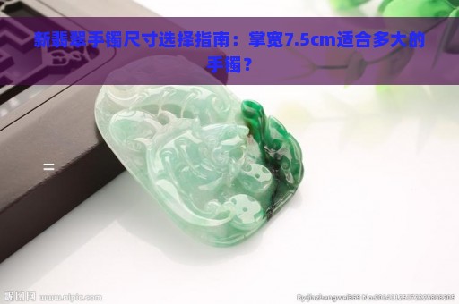 新翡翠手镯尺寸选择指南：掌宽7.5cm适合多大的手镯？