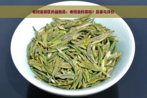 老班章茶区的最新品：老班章的茶吗？品鉴与评价