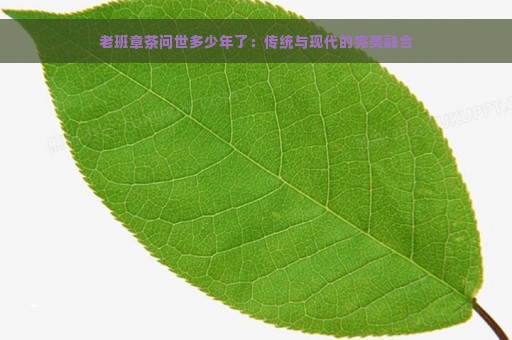 老班章茶问世多少年了：传统与现代的完美融合