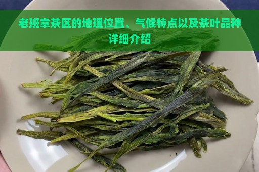 老班章茶区的地理位置、气候特点以及茶叶品种详细介绍