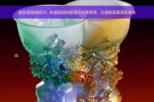 新翡翠种植技巧：幼苗阶段的管理与注意事项，让你的翡翠茁壮成长