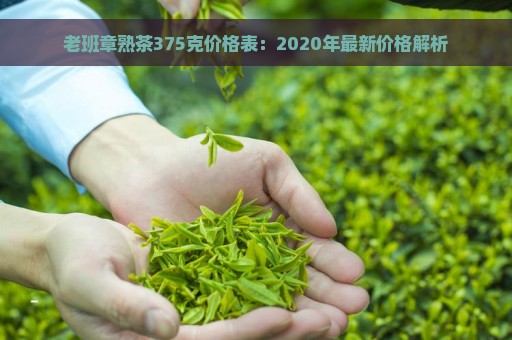 老班章熟茶375克价格表：2020年最新价格解析